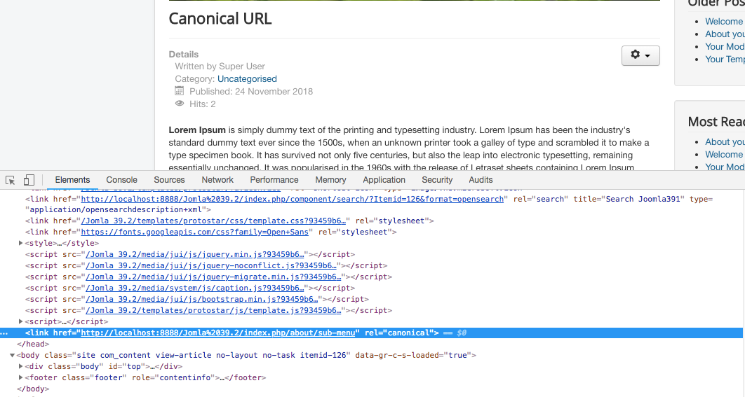 5 Canonical tag inserted in the article